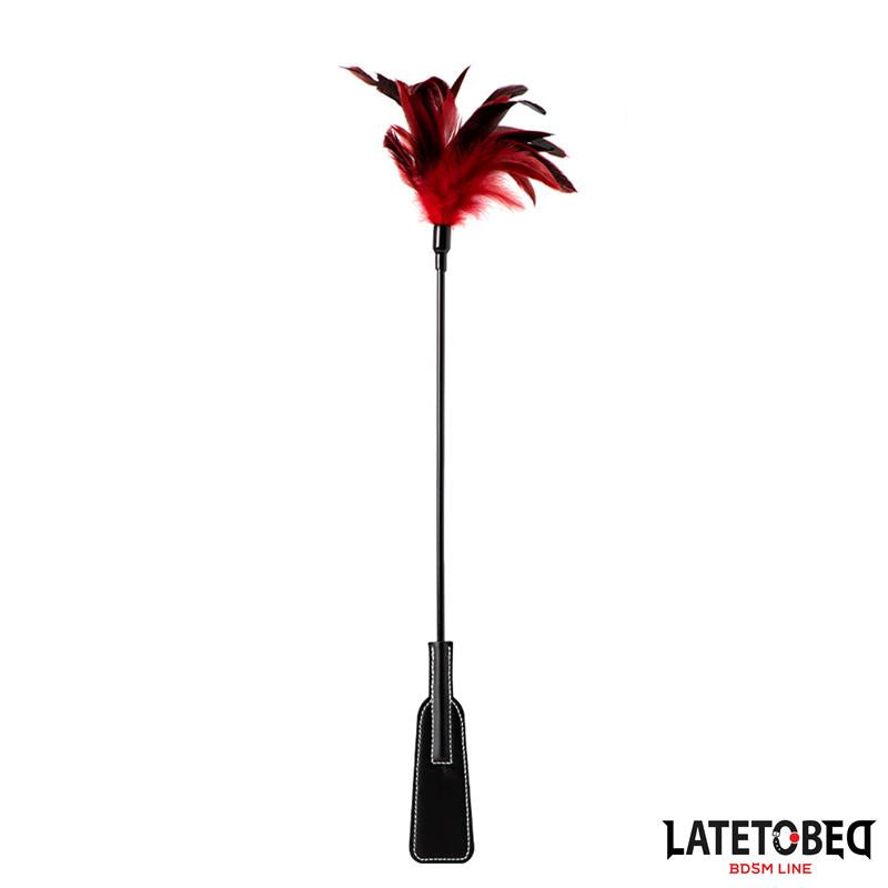 2 in 1 Paddle with feather